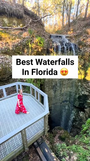 330K views · 4.4K reactions | It’s like visiting a fairy tale! These waterfalls are sure to WET (yes, not whet) your whistle! #Waterfalls #floridavacation #floridalocal #roadtrip #hiddengems #FloridaTravel #floridasprings #waterfalls #nature #nature lovers | Florida Trippers | Facebook