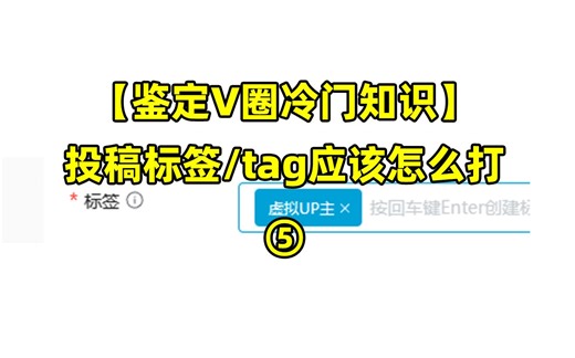 【干货讲解】投稿标签/tag应该怎么打 #虚拟主播怎么弄 #VUP教程