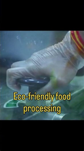 Fresh & Hygienic Vegetables with Ozone Wash Technology @VegwingsAgro