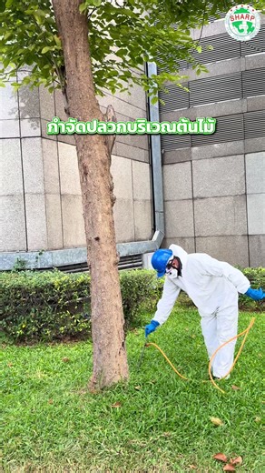 ดูแลต้นไม้ ปลอดภัย ไร้ปลวก 🌳 บริษัท ชาร์ป เพสท์ คอนโทรลเซอร์วิส จำกัด ให้บริการกำจัดปลวก ณ SCB สำนักงานใหญ่ ใช้น้ำยาที่ได้มาตรฐาน ปลอดภัยต่อมนุษย์และสัตว์เลี้ยง ✅ ประสบการณ์การให้บริการมากกว่า 30 ปี รวดเร็ว ว่องไว ได้มาตรฐาน ให้บริการทั่วประเทศ 💬 พบปัญหาปลวก อยากปรึกษา สำรวจพื้นที่หน้างาน ฟรี‼️ ไม่มีค่าใช้จ่าย 📞 โทร : 083-198-0977 , 02-914-6214 #รับกำจัดปลวก #กำจัดปลวก #บริษัทกำจัดปลวก #ปลวก