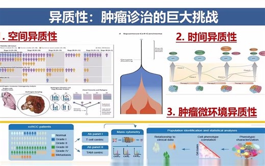中国单细胞及空间多组学用户峰会: 空间组学解析肝肿瘤微环境异质性
