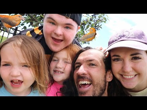 FAMiLY FRiENDS and WiLD ANiMALS!! a Best Day Ever with Declan! favorite Adley & Niko memories game!
