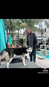 1K views · 22 reactions | It’s always a great time at The Marker Key West Resort with live music, great food, fun drinks, and Island vibes! Located in the Key West Historic Seaport. Book a room or stop in for lunch, live music and a swim! Be sure to check out their special offers: https://bit.ly/MarkerSpecials #lovethemarker | Key West Finest | Facebook