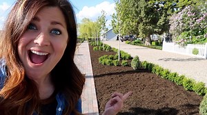 78K views · 4K reactions | Sprinter Boxwood Hedge Part 3: Trimming & Mulching!  | Garden Answer | Facebook
