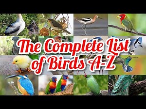 The complete list of Birds A-Z