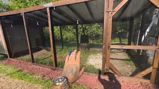 The Ultimate DIY Shed Chicken Coop