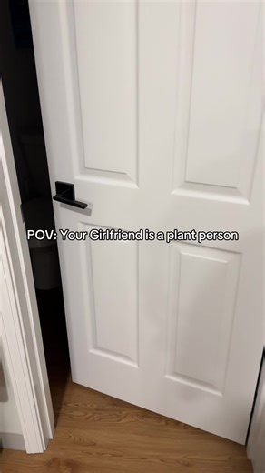 Plants in the Shower: A Unique Gardening Experience