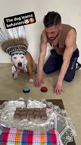 47K views · 293 reactions | The dog learns behaviors殺 | Dog Life | Facebook