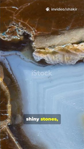 Mirrors Existed Before Glass? The Surprising First Human Reflection 🪞 | Part 181