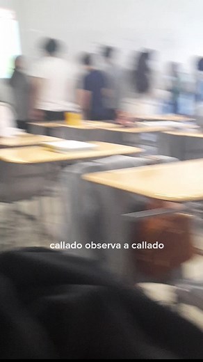 Understanding Classroom Dynamics Through Student Behavior