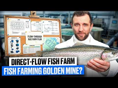 The Perfect Business… But It Won’t Work for Everyone! How a Direct-Flow Fish Farm Works?