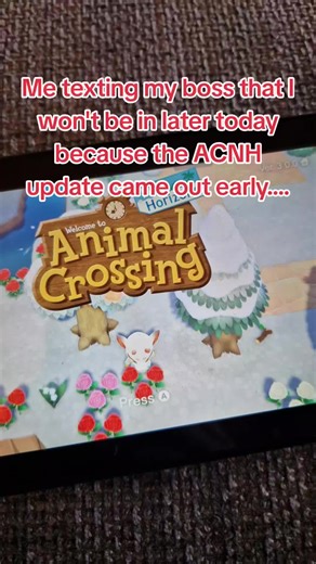 Exciting ACNH Update Coming Soon!
