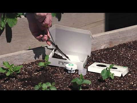 How To Take a Soil Sample | Soil Testing
