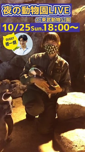 いよいよ明日！@tuckinshuichiro 修一朗さんと一緒に夜の動物園に潜入！！#夜の動物園 #動物コレクション #動物