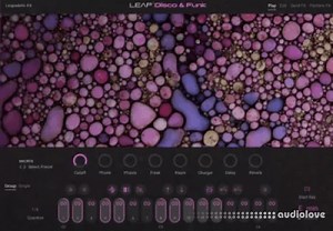 Native Instruments Leap Disco and Funk KONTAKT