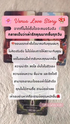 4.7K views · 4.3K reactions | ️“Venus Love Story” Ep.4  ดูดวง Add Line คลิ้กลิ้งค์ที่ bio Line OA : @venus4444 (มี @ข้างหน้าด้วยนะคะ) ————————————————— #tellmey0urwish #RadiantVenus #VenusLoveStory #pickacard #Random #tarot #TarotHealing #อ่านไพ่ฮีลใจ | Tell me y0ur wish | Facebook