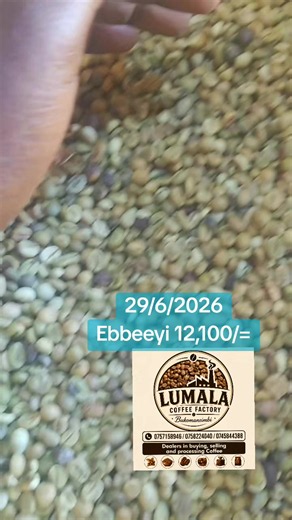 #5ookviews #coffee #vira #trendingvideo #creatorsearchinsight @lumalaronald8 @Finest Cereals @sheilahprice.tv