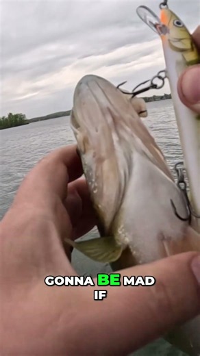 Stand Up Kayak Fishing: Epic Casts & Awesome Catches! #shorts