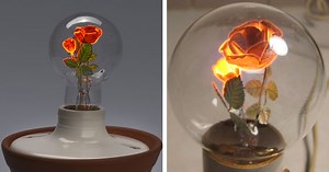 Beautiful Vintage Light Bulbs Feature Luminous Floral Filaments
