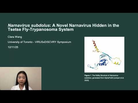 Narnavirus subdolus: A Novel Narnavirus Hidden in Tsetse Fly-Trypanosoma System