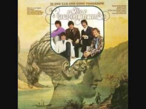 Buckinghams - Back In Love Again