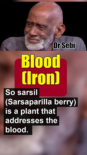 dr.sebi.truthseeker on TikTok