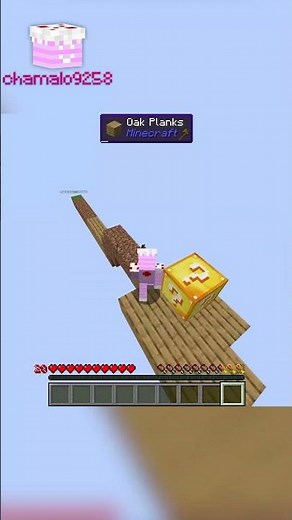 ONE BLOCK LUCKY BLOCK - MINECRAFT