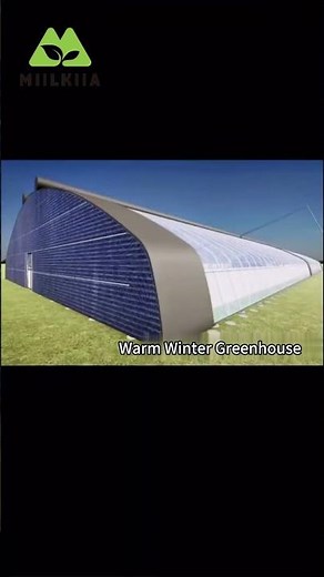 Types of Greenhouses | Find the Right Structure for Your Crops