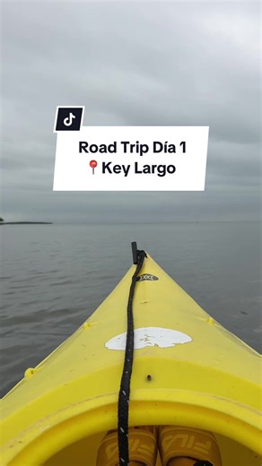 🌲John Pennekamp Coral Reef State Park 🦐Snappers Oceanfront Restaurant & Bar #keylargoflorida #floridakeys #viajandoporelmundo #floridakeyslife #roadtrip