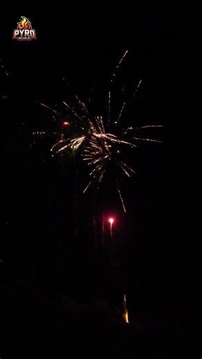 "Fiction" Schmidt Feuerwerke Wyrzutnia dostępna w sklepie Pyro World Słubice.