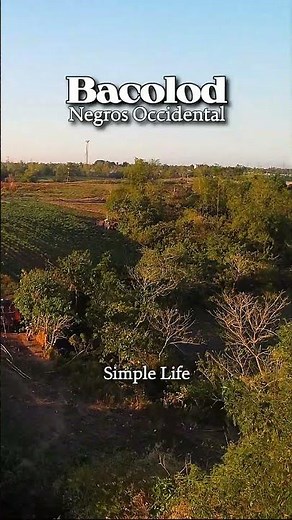 Rural Lifestyle Bacolod City Negros Philippines Aerial Footage #AerialFootage #AerialView