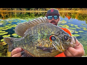 Found a SECRET LAKE with ONLY GIANTS.... Biggest REDEAR *Shellcrackers* We've EVER SEEN!!! (Unreal)