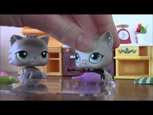LPS: Am I Perfect yet..? {bullying awareness video} (READ DESC.)