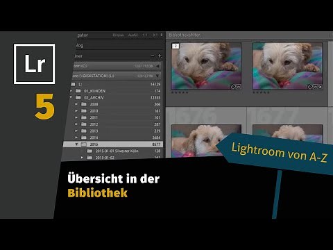 Lightroom Tutorial von A-Z Teil 5: Übersicht in der Bibliothek