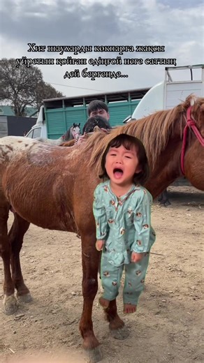 #MemeCut #MemeCut #рек #лошадь #Meme #MemeCut