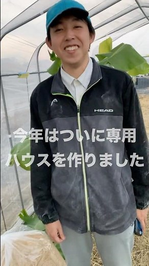 バナナハウスで越冬？！※詳細は説明にて #japanesecountryside #農業 #現代農業 #ファーム生活 #バナナ #越冬 #ビニールハウス #iot