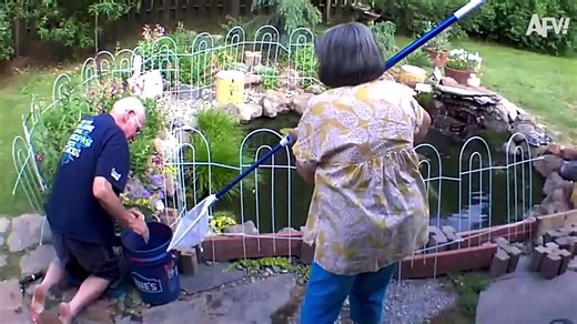 2024 Year in Review 😄 Best Funny Videos of the Year