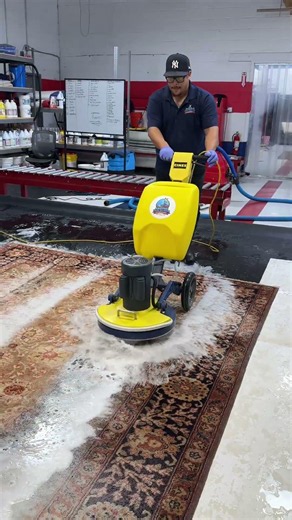 Orange Wool Rug Cimex Cleaning | Huntington Long Island
