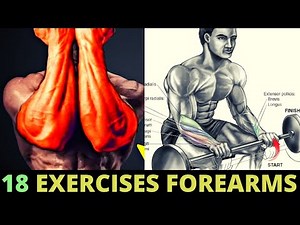 18 FOREARMS EXERCISES / musculation avant-bras