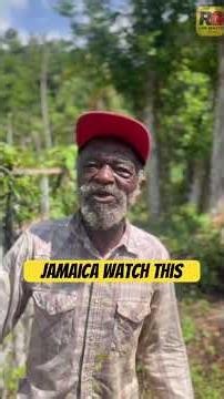 80 Years Old… And Moving Like THIS?! 😳🧘🏾‍♂️🇯🇲