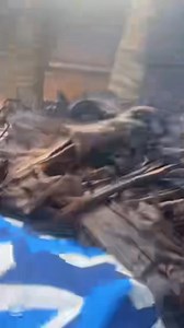 114K views · 5.3K reactions | Bonsoir à tous, Vos silures déjà nettoyées, assaisonnées et fumées sont prêt et n’attendent plus que vous Commandez au 659227107 Pariez sur 1xbet avec mon code promo CNT237 pour gagner 200% de bonus lors de votre prochaine recharge La présidente  | Cynthia Nikeze | Facebook