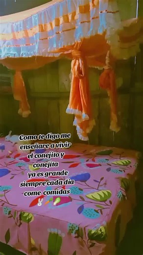 Te la dedico mi conejita y conejito 🐰