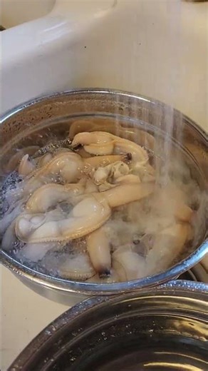 rinsing razor clams asmr #seafood #razorclams #asmr