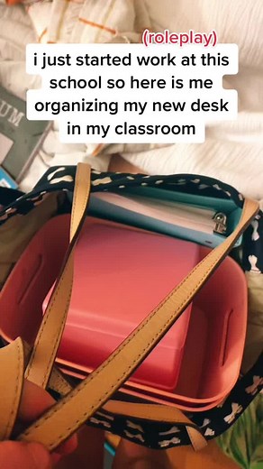 #ForzaHorizon5GO #roborockrun #faketeacher #roleplay | desk organization