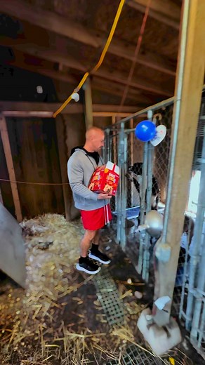 1.7K views · 28 reactions | Hope Fur Paws Rescue we are READY TO ROCK!! Join us for their LIVE Jordan's Way Fundraiser today from 10-1pm!! Be sure to LIKE  their page, SHARE, & DONATE HERE  https://paypal.com/donate/?campaign_id=Y83CWB4785328&source=url | Jordan's Way | Facebook