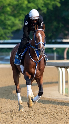 Happy retirement, Mystik Dan! 🌹 Winner of the 150th GI Kentucky Derby, Mystik Dan (Goldencents) has officially been retired from racing and will take up stud duties at Airdrie Stud for 2026. Fans will have one final chance to see the colt beneath the Twin Spires on Saturday when Mystik Dan parades in the Churchill Downs paddock for the fourth race from approximately 2:05-2:30 p.m. EST ✨ The multiple graded stakes winner retires with a record of five wins, three seconds and one third from 16 car