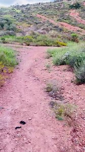 It’s a bunny 🐰 | Christian Daniel X