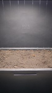 481K views · 5.7K reactions | Luffa Fail https://boxlapse.info/ | Boxlapse | Facebook