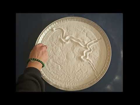 Earth Day Activity 🌎 | Fun Science for kids.