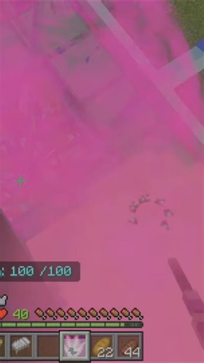 Minecraft - Polymorph Spell🐤 #minecraft #polymorph #spell #gaming #foryou #ps5